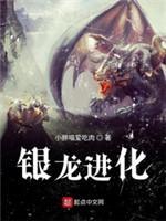 银龙进化封面