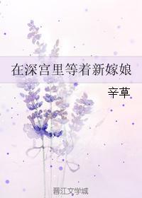 在深宫裏等着新嫁娘封面