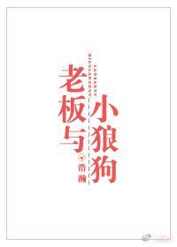 老板与小狼狗封面