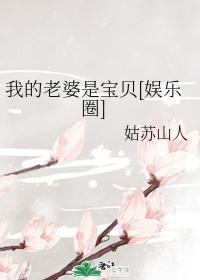 我的老婆是宝贝[娱乐圈]封面