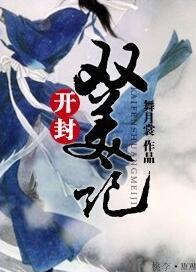 开封双美记封面