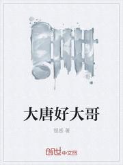 大唐好大哥封面