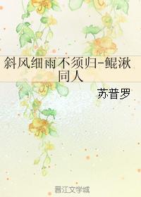 斜风细雨不须归-鲲湫同人封面