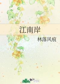 江南岸封面