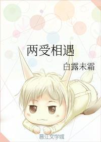 两受相遇封面