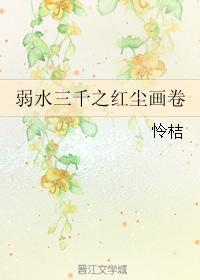 弱水三千之红尘画卷封面