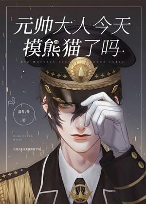 元帅今天摸熊猫了吗？封面