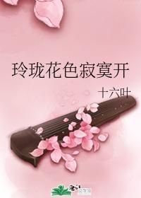 玲珑花色寂寞开封面