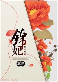锦妃封面