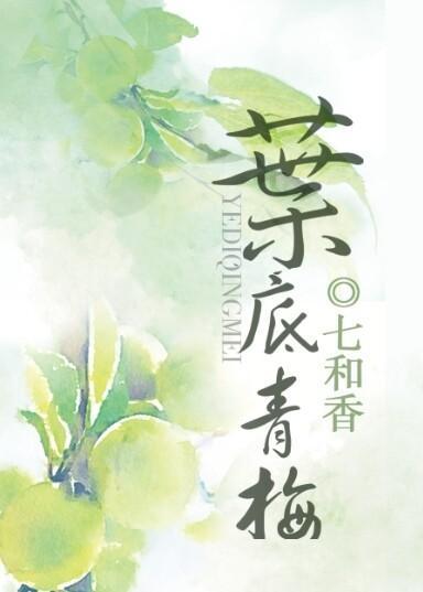 叶底青梅封面