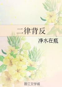 二律背反封面
