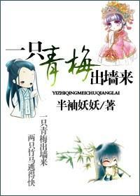 一只青梅出墻来封面