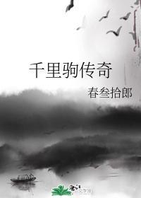 千裏驹传奇封面