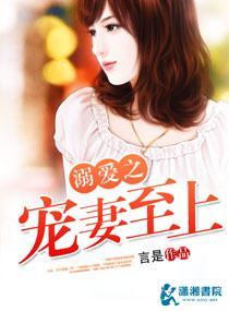 溺爱之宠妻至上封面