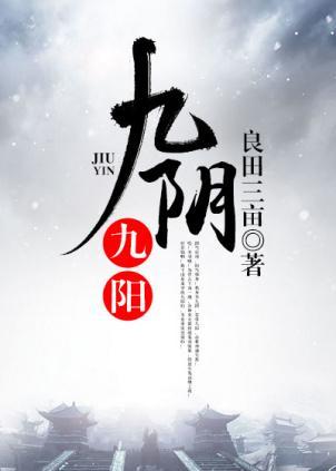 九阴九阳封面