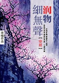 润物细无声（穿越）封面