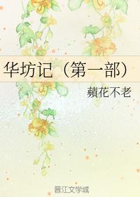 华坊记封面