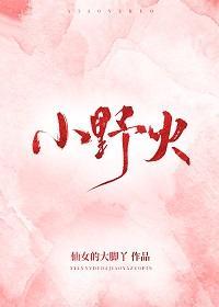小野火封面