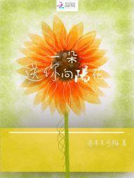 送你一朵向阳花封面