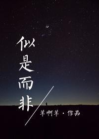 似是而非封面