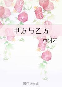 甲方与乙方封面