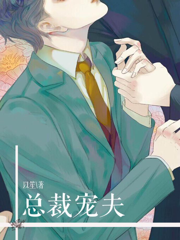总裁宠夫封面