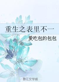 重生之表裏不一封面
