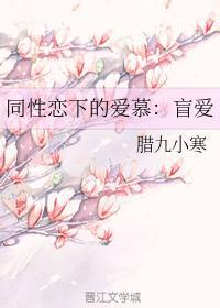 同性恋下的爱慕：盲爱封面