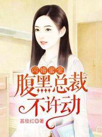 闪婚蜜爱：腹黑总裁不许动封面