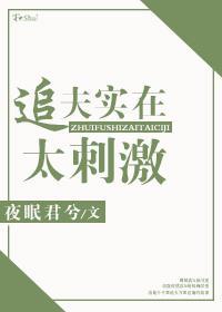 追夫实在太刺激封面