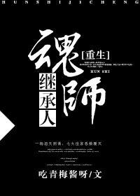魂师继承人[重生]封面