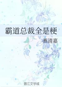 买椟者封面