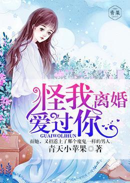 怪我离婚爱过你封面