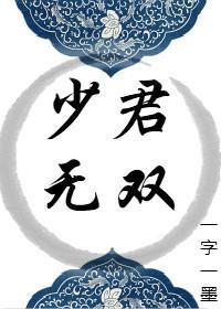 少君无双封面