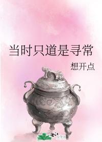 当时只道是寻常封面