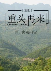 重生之重头再来封面