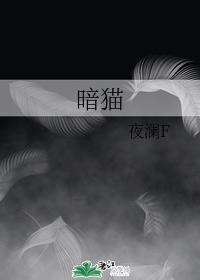 暗猫封面