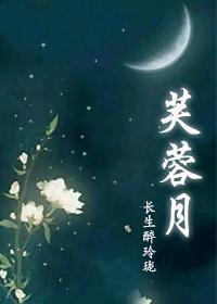 芙蓉月封面
