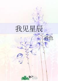 我见星辰封面