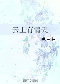 云上有情天封面