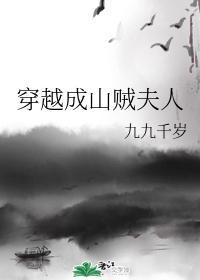 穿越成山贼夫人封面