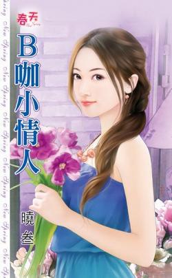 B咖小情人封面
