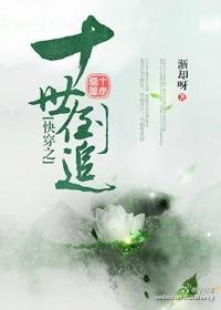 快穿之十世倒追封面