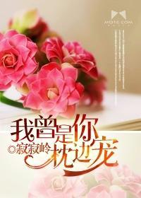我曾是你枕边宠封面