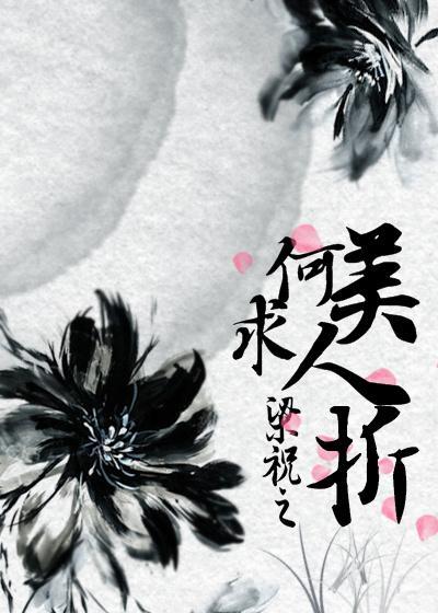 梁祝梁祝之何求美人折封面