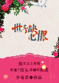 世子缺心眼封面