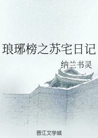 琅琊榜之苏宅日记封面