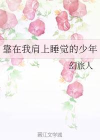 靠在我肩上睡觉的少年封面