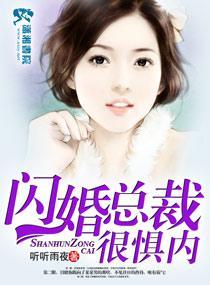 闪婚总裁很惧内封面