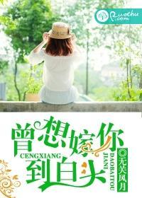 曾想嫁你到白头封面